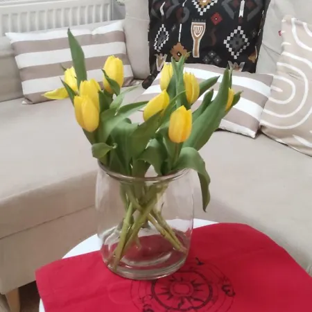 Letni Wiatr 3 Appartement Ustka