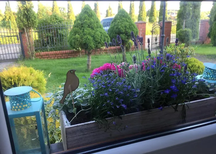 Letni Wiatr 3 شقة *