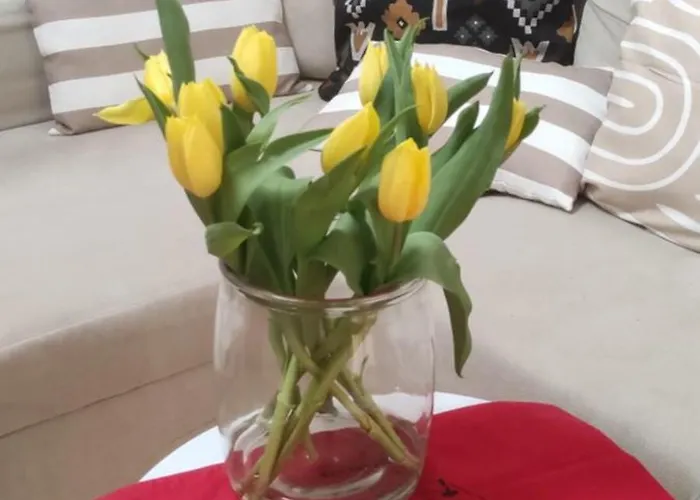 Letni Wiatr 3 شقة أوستكا